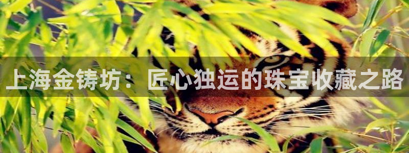 天宏娱乐星空大叔