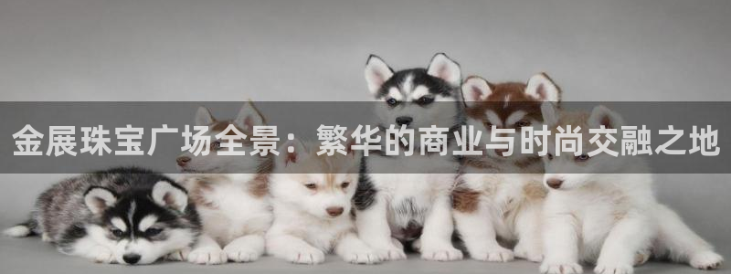 天宏娱乐怎么改号了