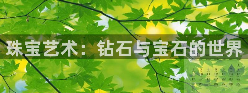 天宏娱乐小号怎么玩视频