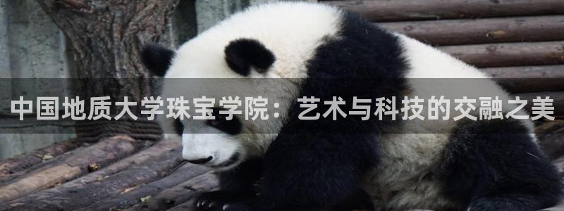 天宏娱乐董事长