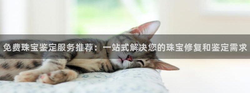 天宏娱乐大叔团龙叔