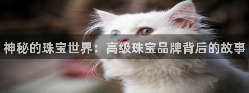 天宏娱乐下载