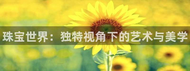天宏娱乐g OO判官