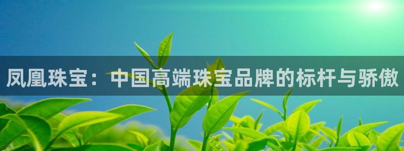 天宏娱乐直播直播间