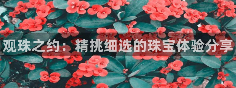 秦皇岛天宏娱乐会所地址