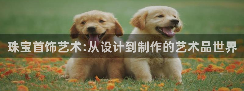 天宏娱乐招商主管招聘