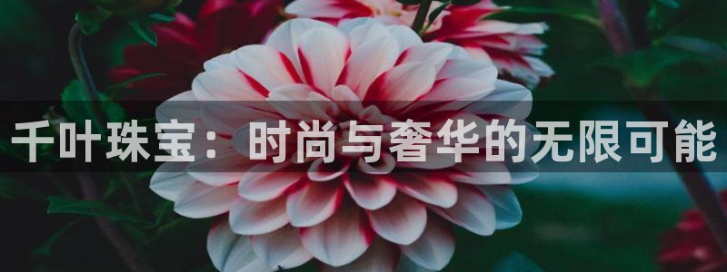 天宏2娱乐平台