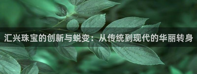 天宏娱乐金叔