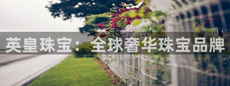 天宏娱乐老男孩团队