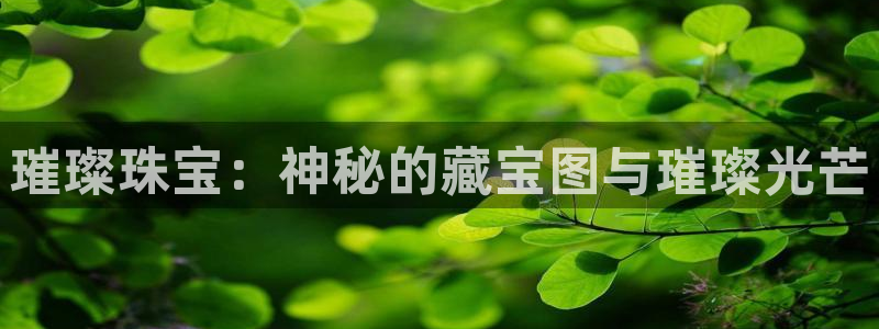 天宏娱乐创始人