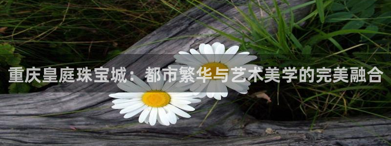 天宏娱乐是干嘛的公司