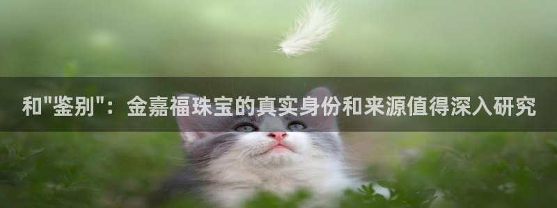 天宏娱乐河源店在哪里