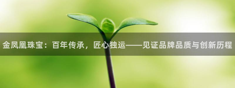 天宏娱乐直播在线观看免费