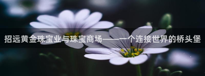 裕宏娱乐林天俊简介