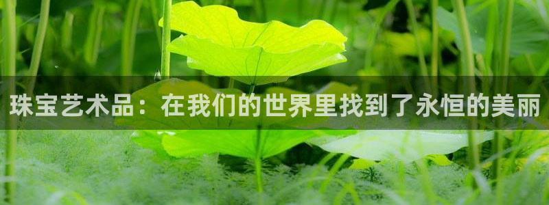 天宏棋牌娱乐