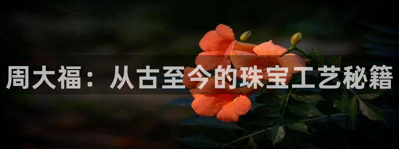 天宏娱乐 92229实c力