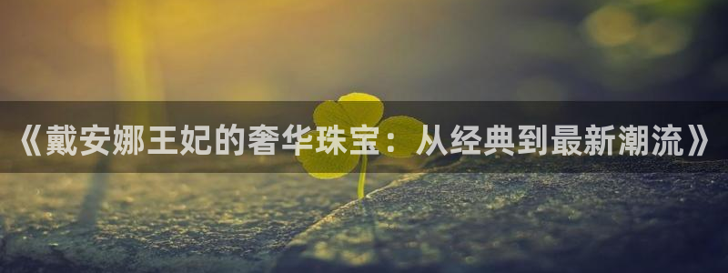 天宏娱乐老男孩成员