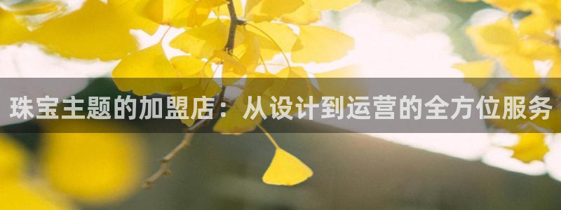 天宏娱乐 老板：珠宝主题的加盟店：从设计到运营的全方位服务