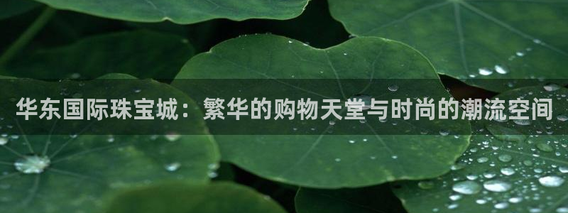 天宏娱乐平台登陆