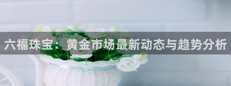 天宏娱乐b 判官