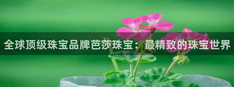 天宏娱乐浗v33300：全球顶级珠宝品牌芭莎珠宝：最精致的珠