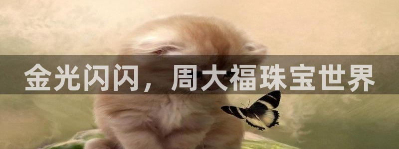 天宏娱乐招商