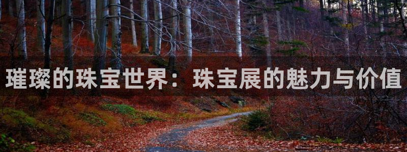 天宏娱乐会所地址：璀璨的珠宝世界：珠宝展的魅力与价值