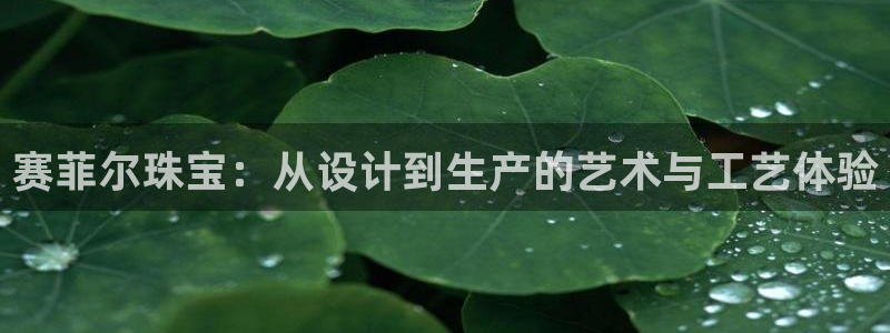 天宏娱乐怎么注册：赛菲尔珠宝：从设计到生产的艺术与工艺体验