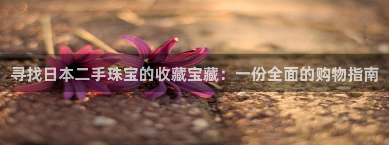 天宏娱乐董事长：寻找日本二手珠宝的收藏宝藏：一份全面的购物指