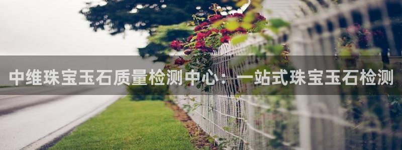 天宏娱乐小号是什么软件：中维珠宝玉石质量检测中心：一站式珠宝