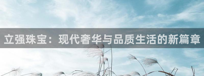 天宏娱乐待遇