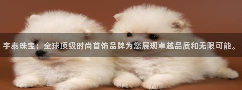 裕宏娱乐林天俊