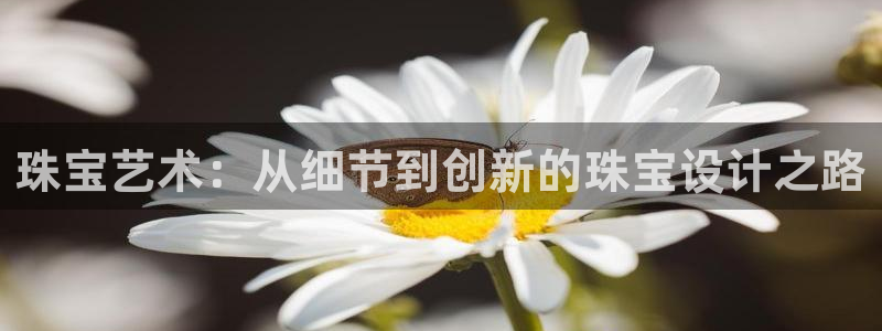 天宏娱乐32937股东：珠宝艺术：从细节到创新的珠宝设计之路