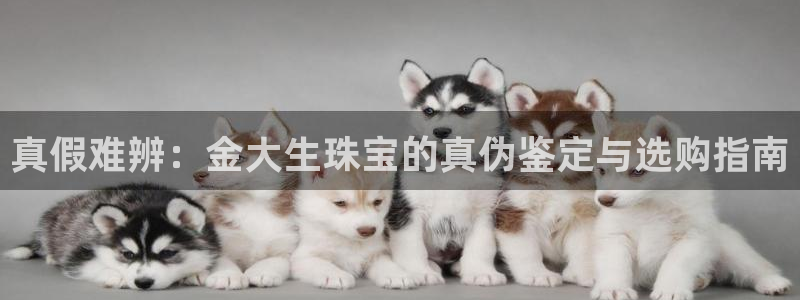 天宏娱乐团队：真假难辨：金大生珠宝的真伪鉴定与选购指南