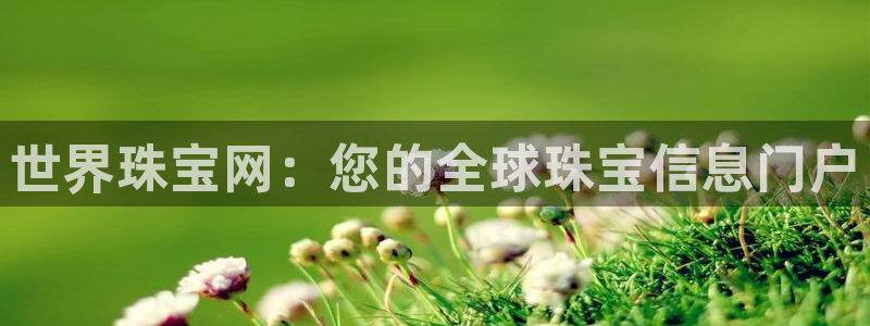 天宏2娱乐：世界珠宝网：您的全球珠宝信息门户