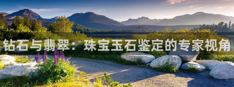 天宏娱乐林叔