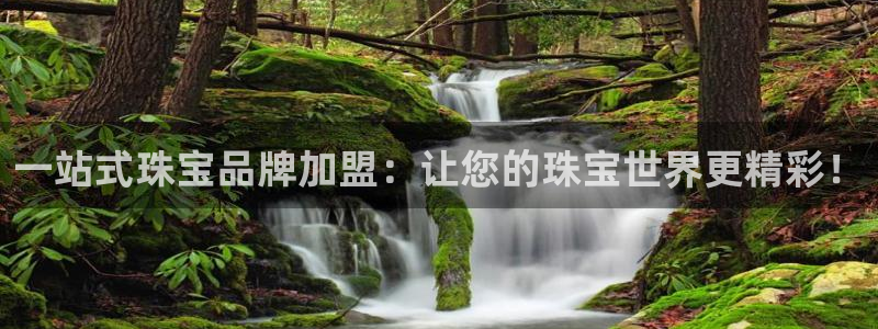 天宏娱乐何33300：一站式珠宝品牌加盟：让您的珠宝世界更精