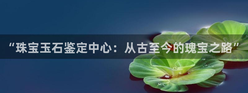 天宏娱乐怎么改号了：“珠宝玉石鉴定中心：从古至今的瑰宝之路”