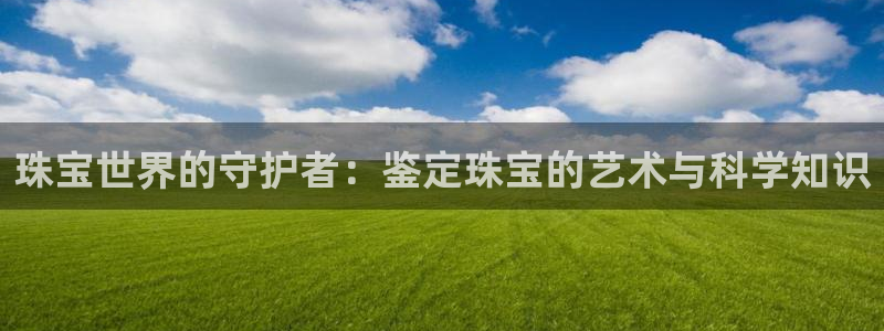 河源市天宏娱乐：珠宝世界的守护者：鉴定珠宝的艺术与科学知识