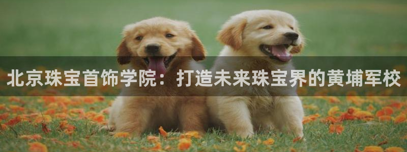 天宏娱乐怎么改号了：北京珠宝首饰学院：打造未来珠宝界的黄埔军