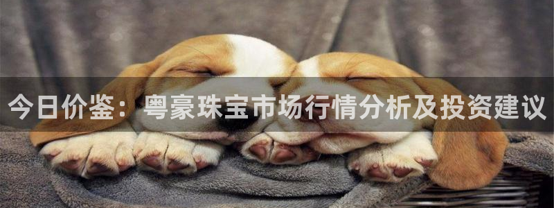 天宏休闲娱乐指数a：今日价鉴：粤豪珠宝市场行情分析及投资建议