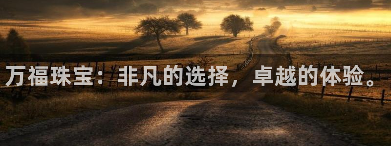 天宏娱乐大叔团龙叔
