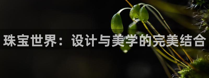 天宏娱乐杨叔