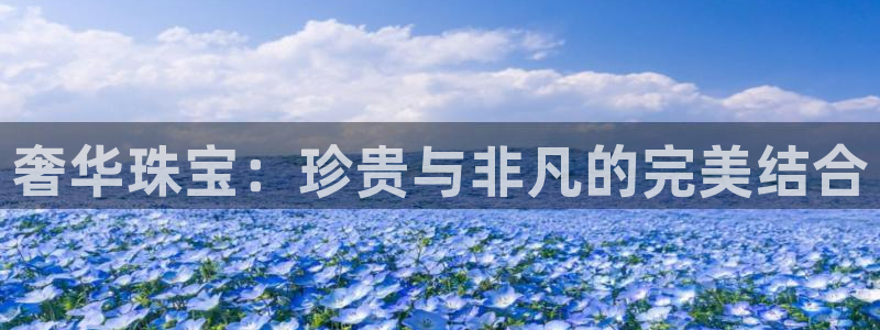 天宏娱乐秦叔的大哥