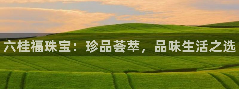 天宏娱乐老秦