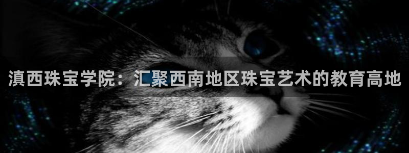 天宏娱乐c 判官