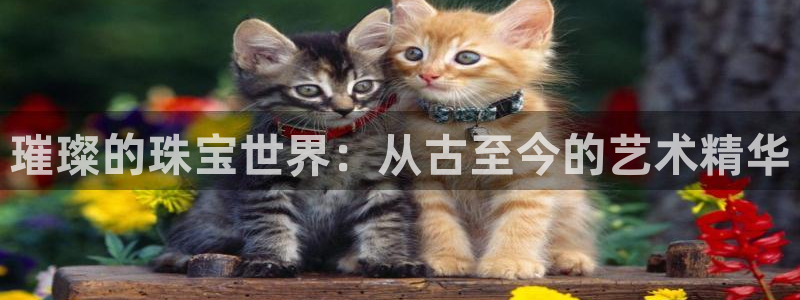 西安天宏娱乐直播间