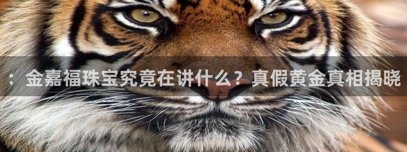 天宏娱乐地址查询