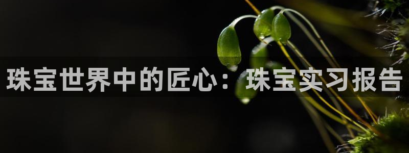 天宏娱乐a 判官：珠宝世界中的匠心：珠宝实习报告