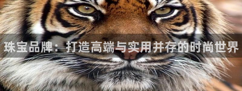 天宏娱乐传媒岳阳